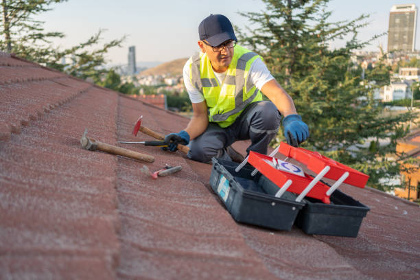 Best Storm Damage Siding Repair  in Palmdale, CA